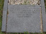 image of grave number 785862